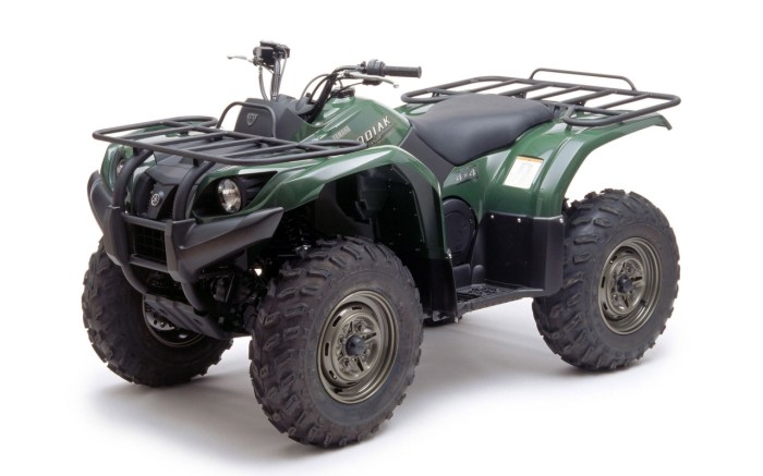 Yfz atv yfz450r diffrent