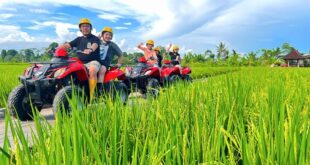 Harga atv di bali