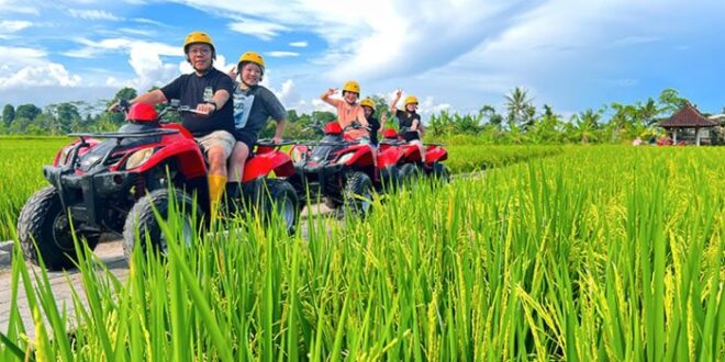 Harga atv di bali