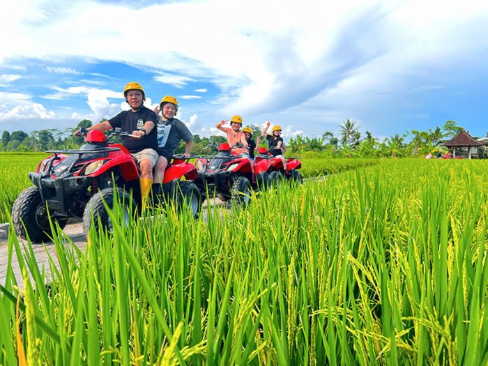 Harga atv di bali