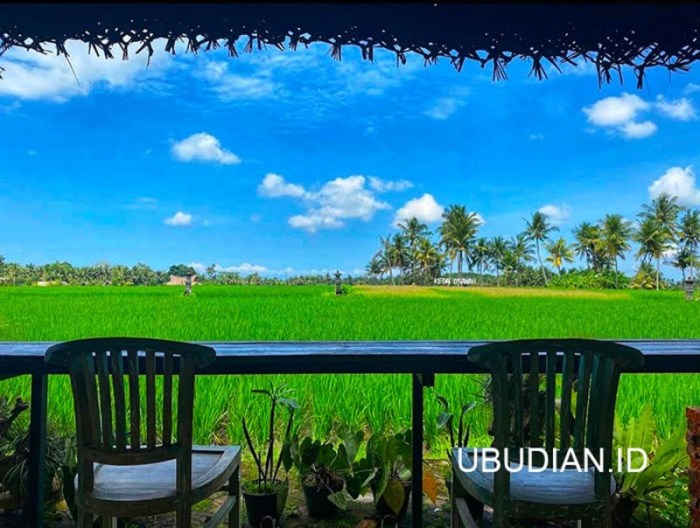 Kedai d sawah