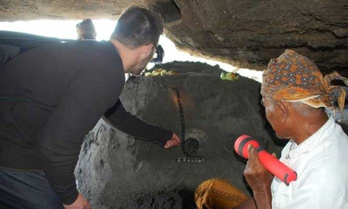 Tanah lot ular suci