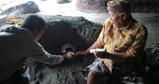 Tanah lot ular suci