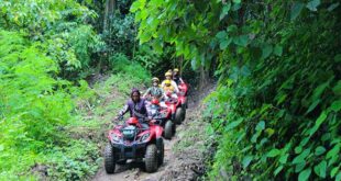 Green bali adventure