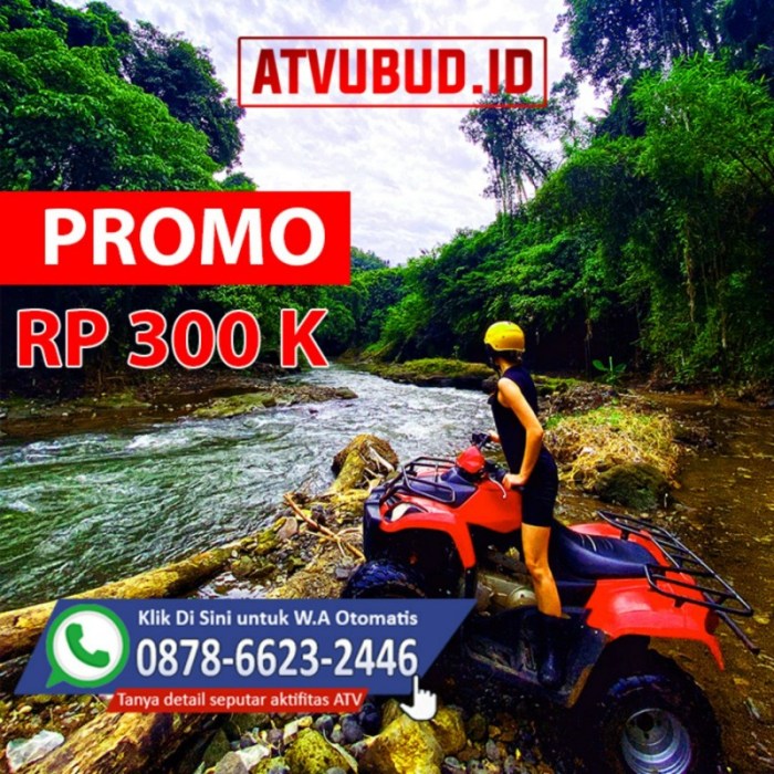 Harga atv di bali