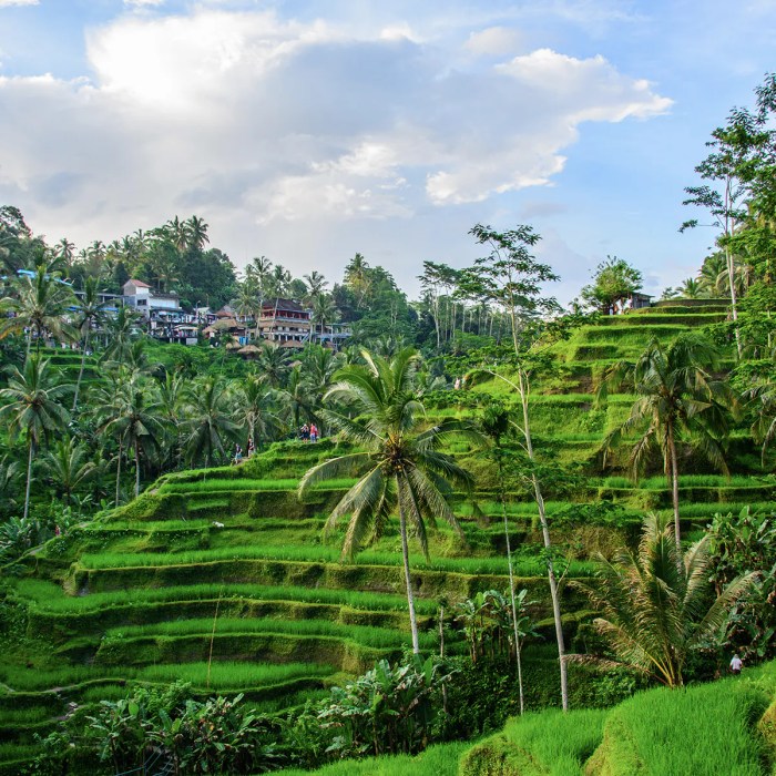 Tegalalang ubud