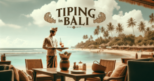 Tipping bali driver